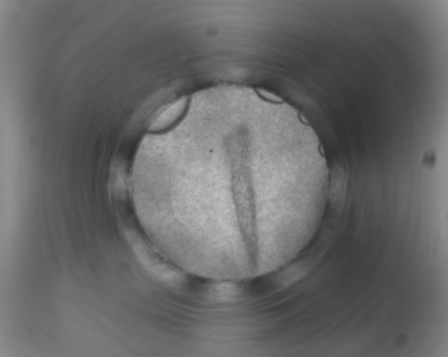X0000113860287200910221448