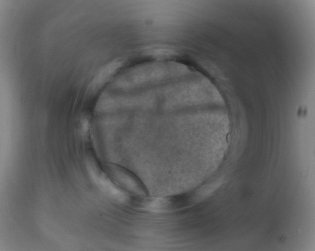 X0000113860288200910221448