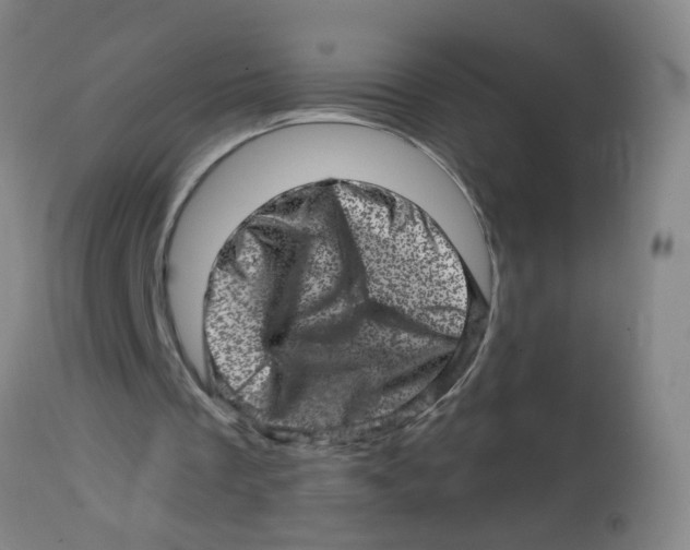 X0000113860289200910221447