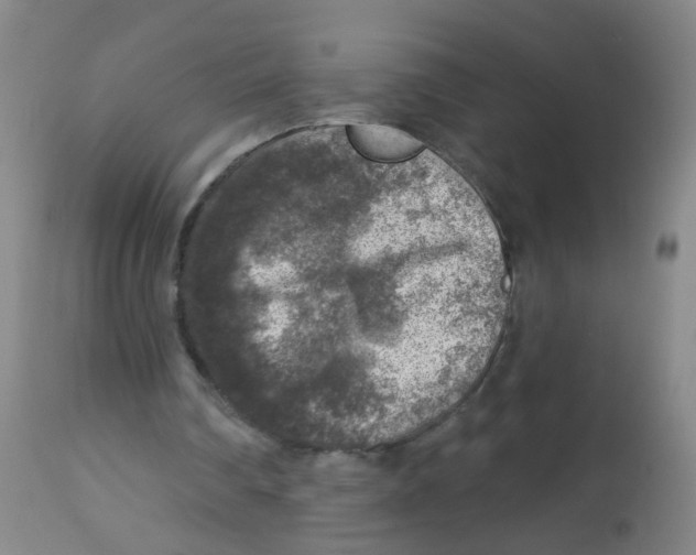 X0000113860290200910221447
