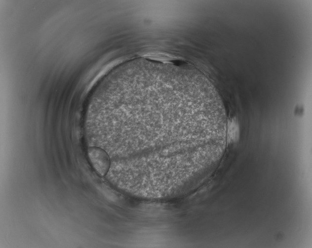 X0000113860291200910221447