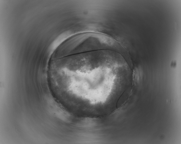 X0000113860292200910221447