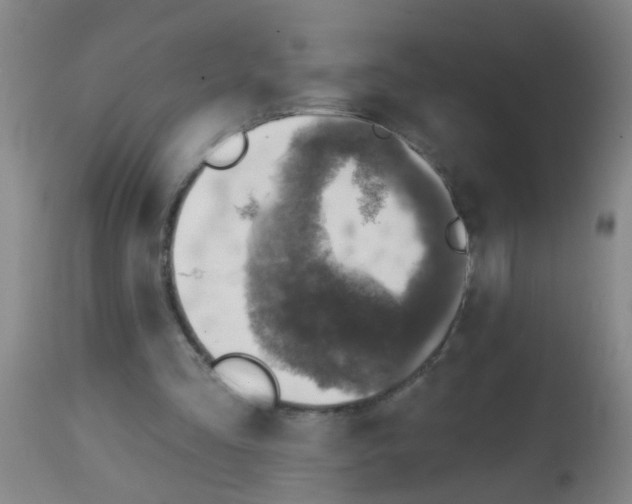 X0000113860293200910221447