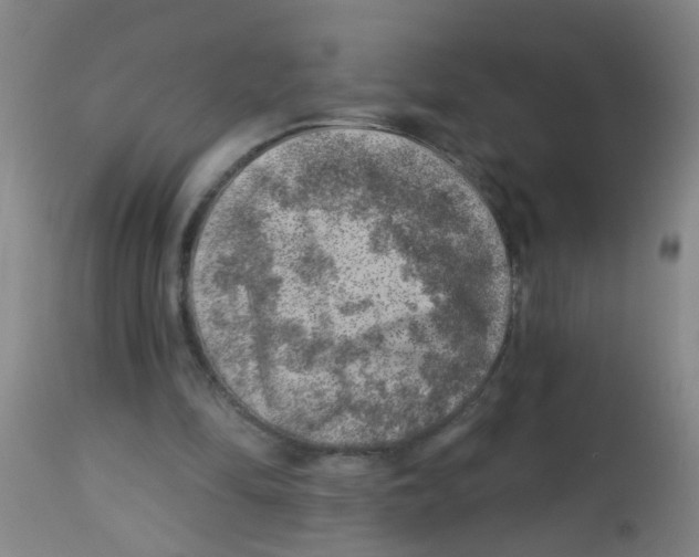 X0000113860294200910221447