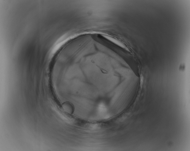 X0000113860295200910221447