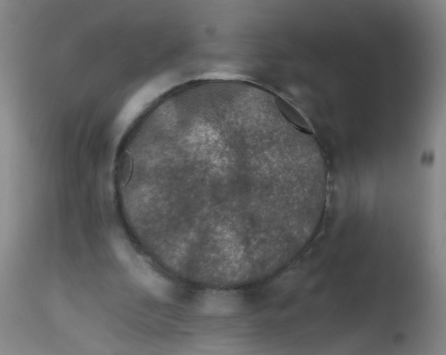 X0000113860296200910221447
