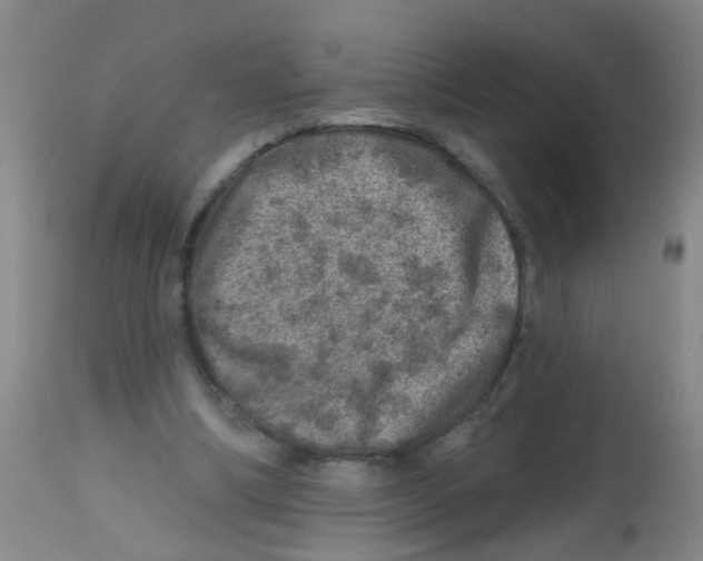 X0000113860298200910221447