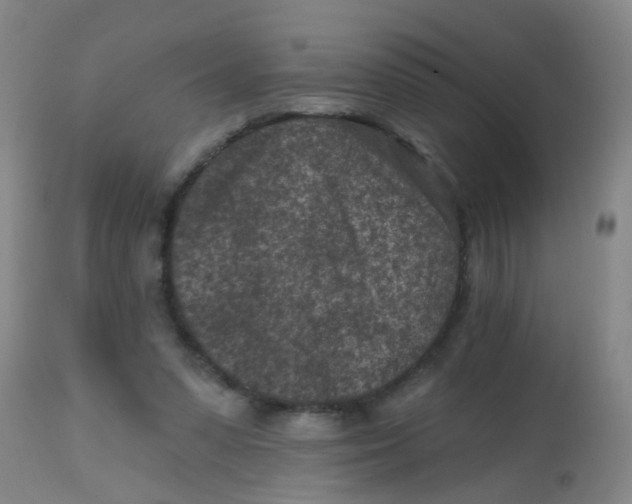 X0000113860303200910221447
