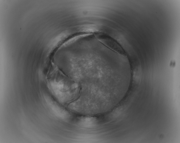 X0000113860304200910221447