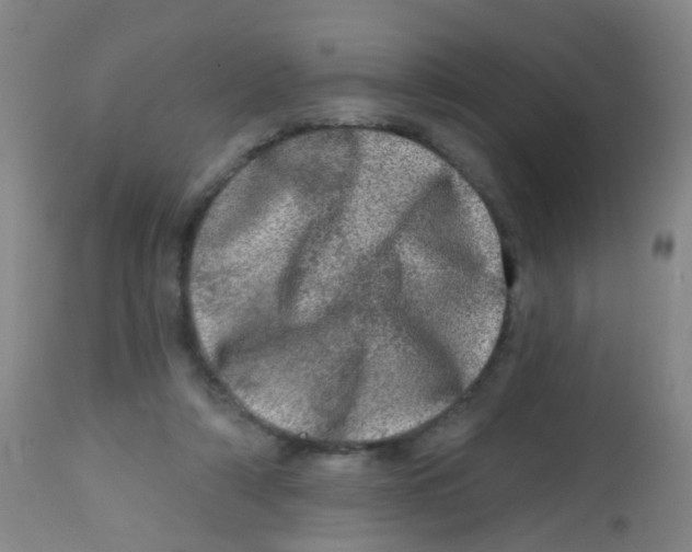 X0000113860306200910221447