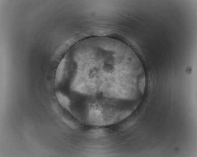 X0000113860307200910221447