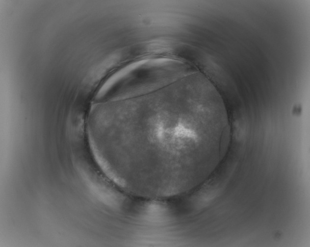 X0000113860308200910221447