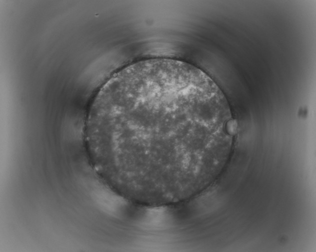 X0000113860309200910221447
