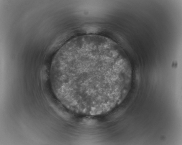 X0000113860311200910221447
