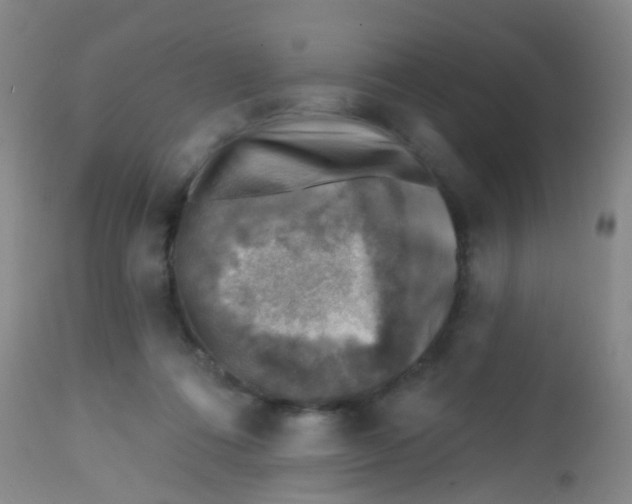 X0000113860312200910221447