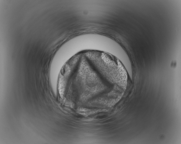 X0000113860313200910221447