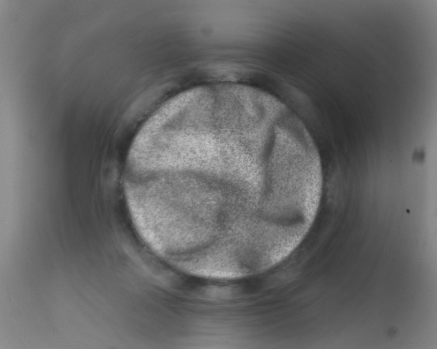 X0000113860314200910221447
