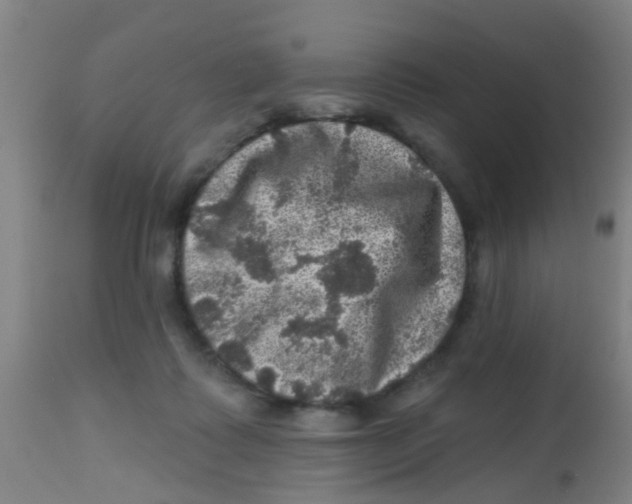 X0000113860315200910221447