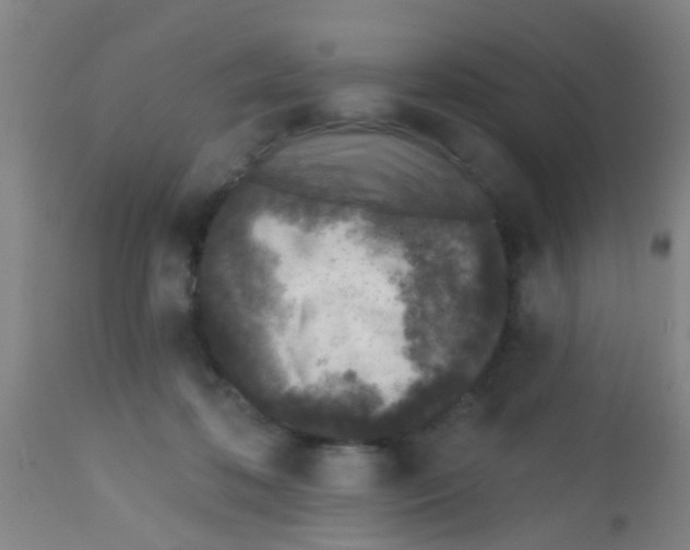 X0000113860316200910221447