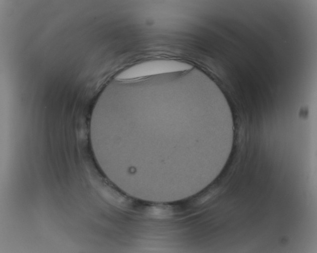 X0000113860317200910221447