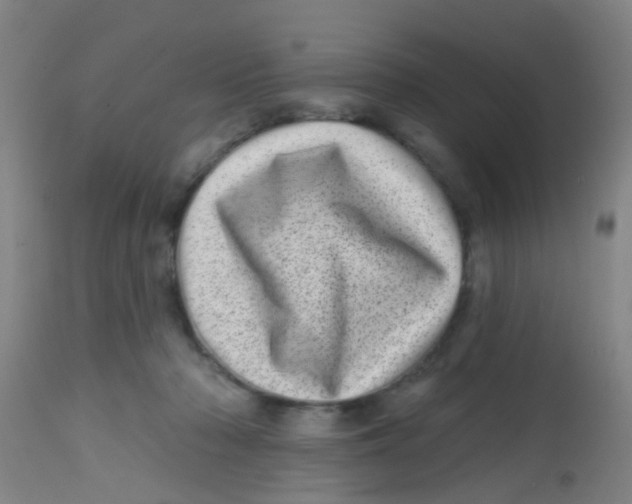 X0000113860318200910221447
