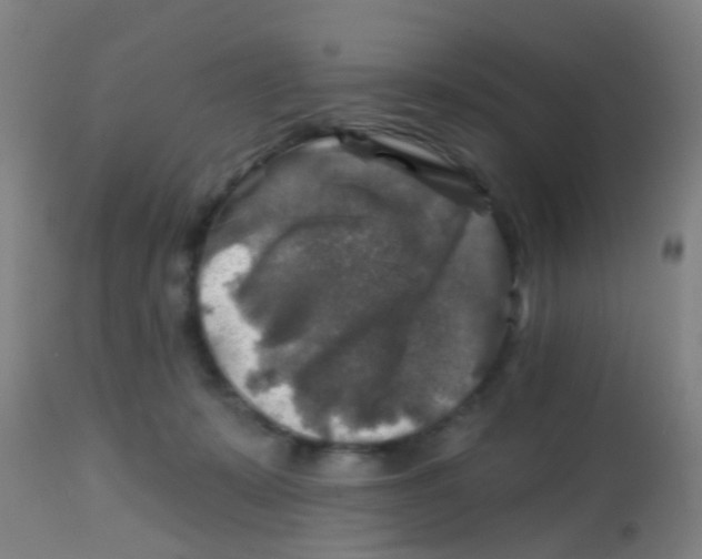 X0000113860319200910221447