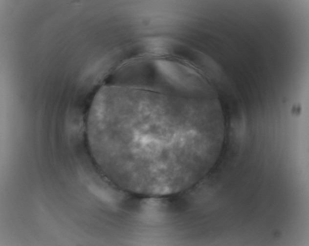 X0000113860320200910221447