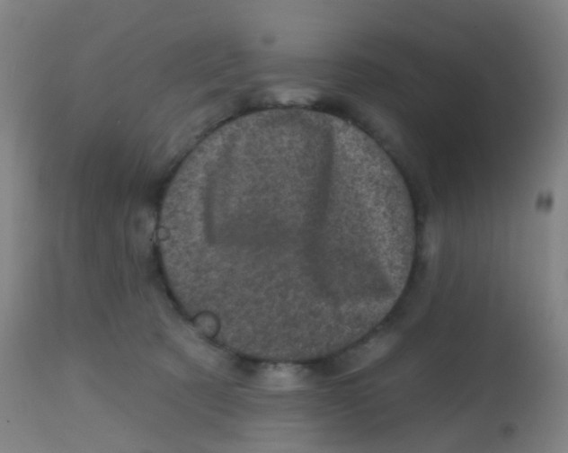 X0000113860321200910221447