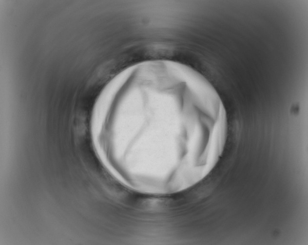 X0000113860323200910221447