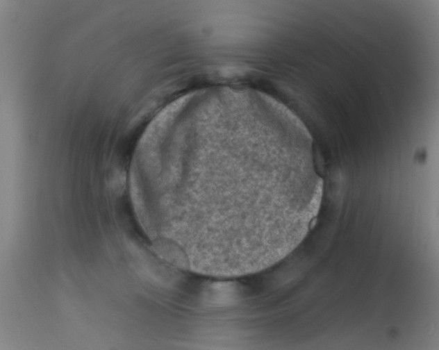 X0000113860324200910221447