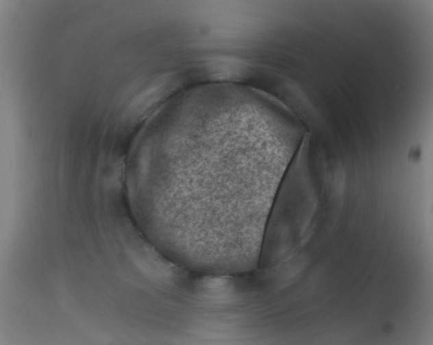 X0000113860325200910221447