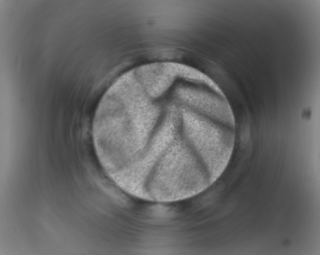 X0000113860326200910221447