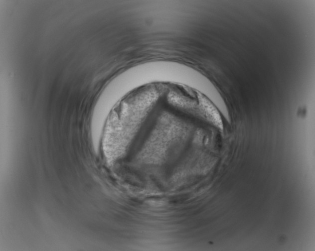 X0000113860327200910221446