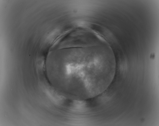X0000113860328200910221446
