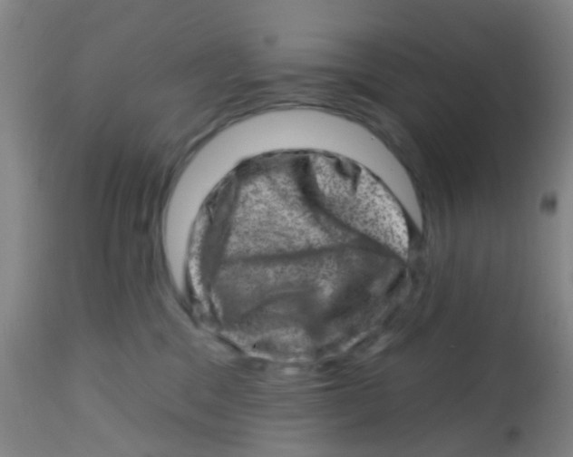X0000113860329200910221446