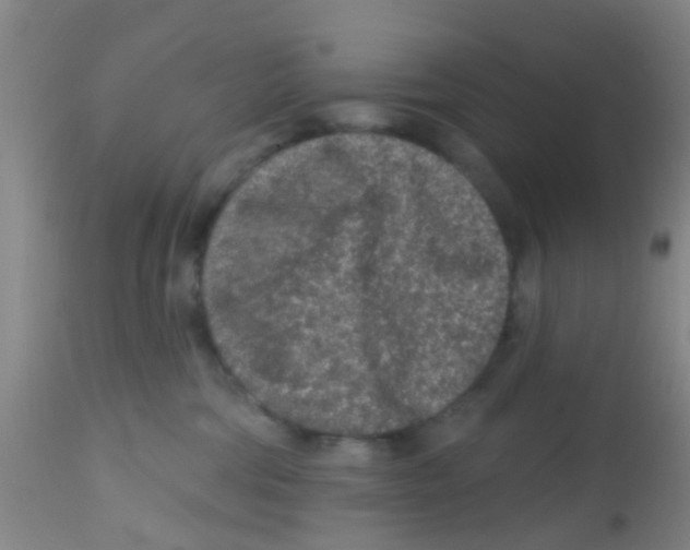 X0000113860330200910221446