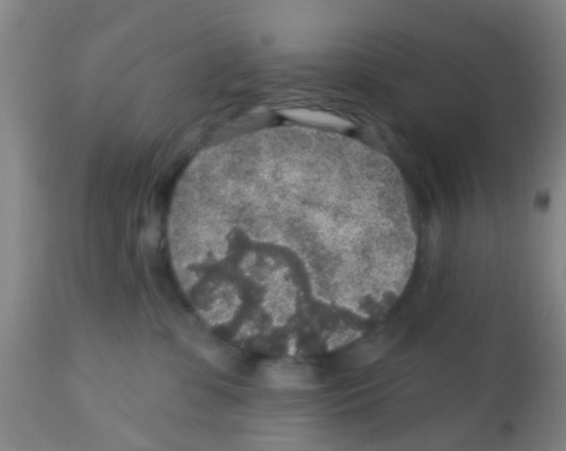 X0000113860331200910221446