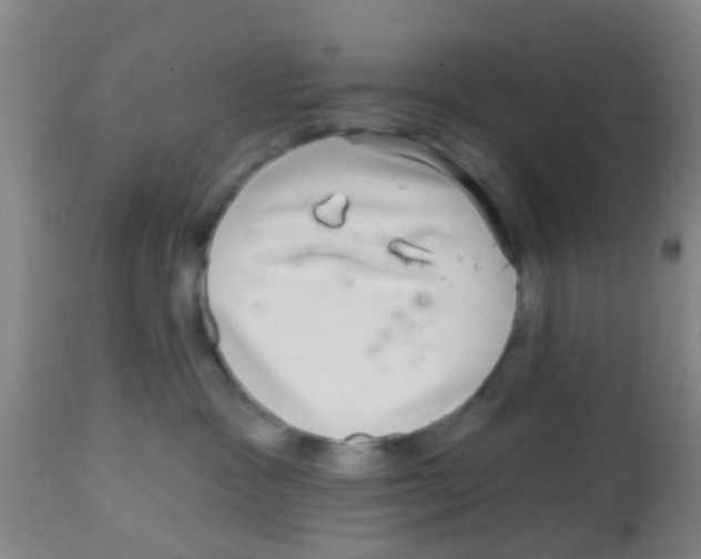 X0000113860333200910221446