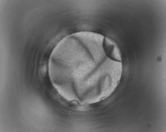X0000113860334200910221446