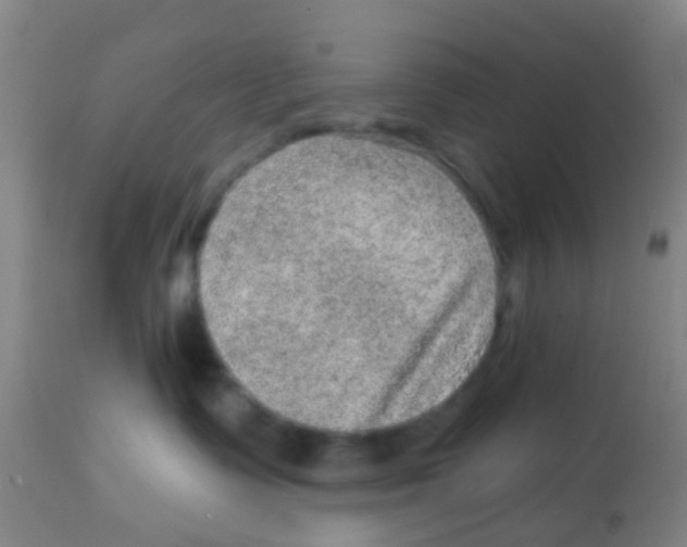 X0000113860335200910221446