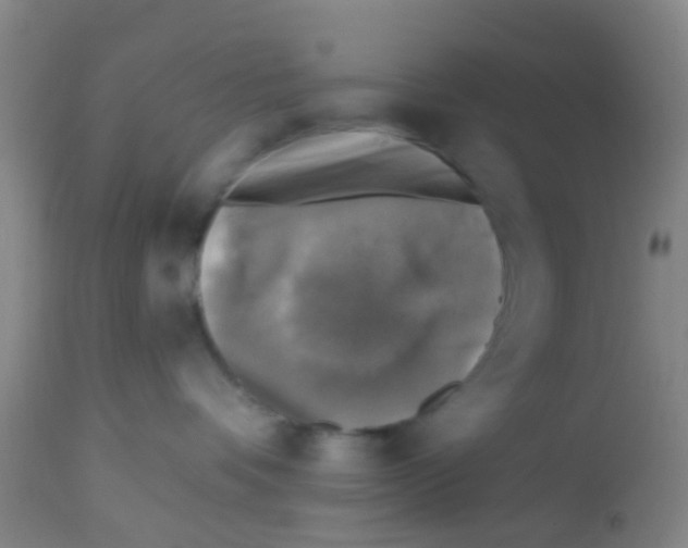 X0000113860336200910221446