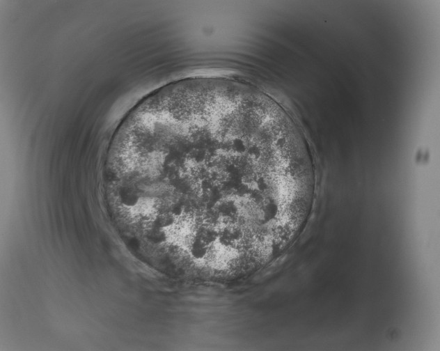 X0000113860337200910221446