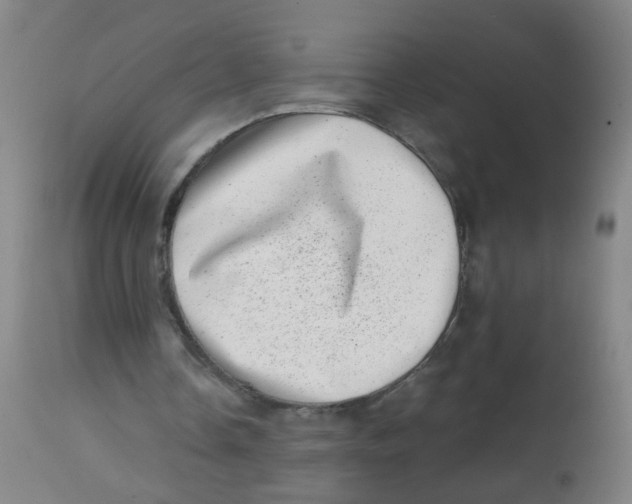 X0000113860338200910221446