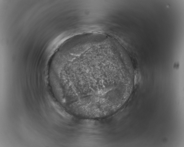X0000113860339200910221446