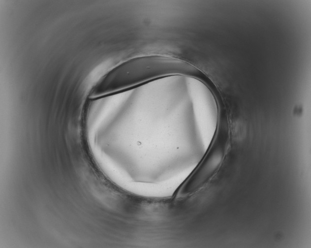 X0000113860340200910221446