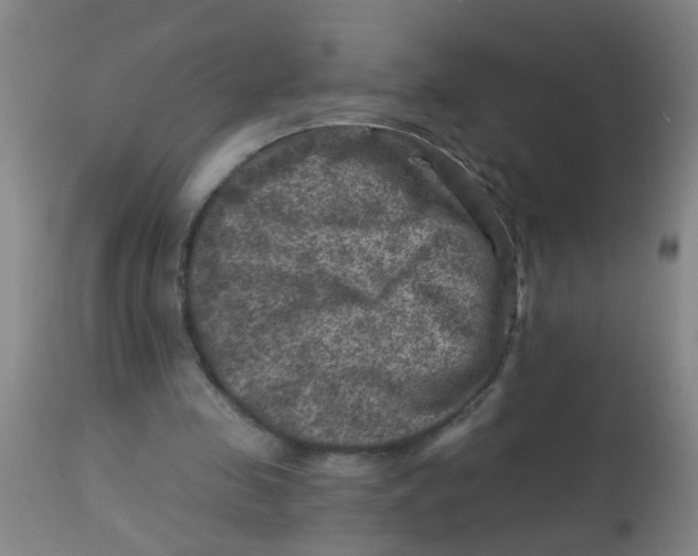 X0000113860341200910221446