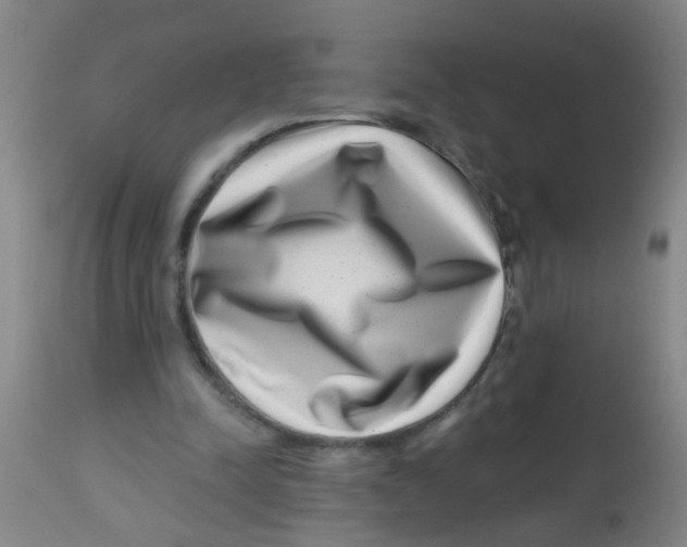 X0000113860342200910221446
