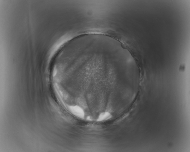 X0000113860343200910221446
