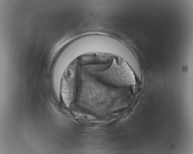 X0000113860344200910221446