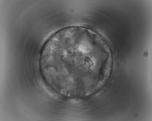 X0000113860346200910221446